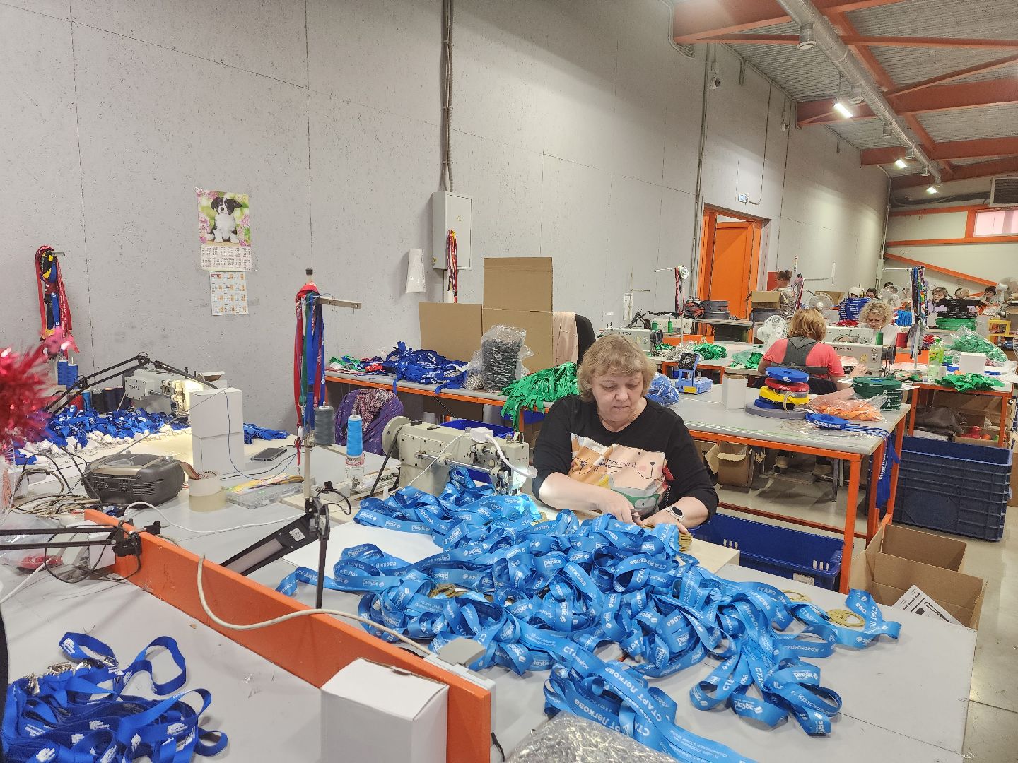 красноармейск, Старт Легкова, лыжная гонка, спорт,