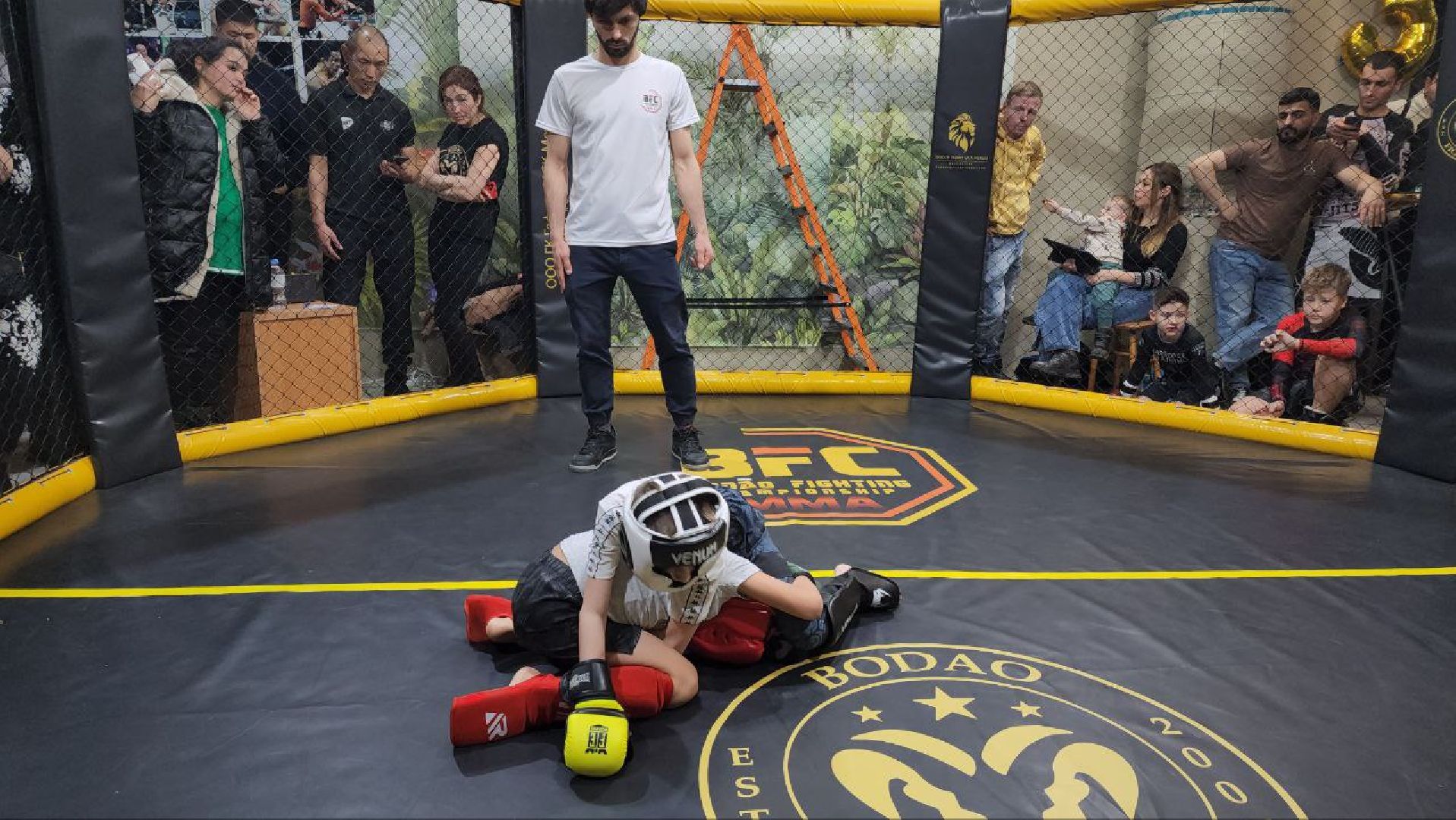 мытищи, спорт, Франсимар Баррозо, Смешанные единоборства, мма, детский спорт,