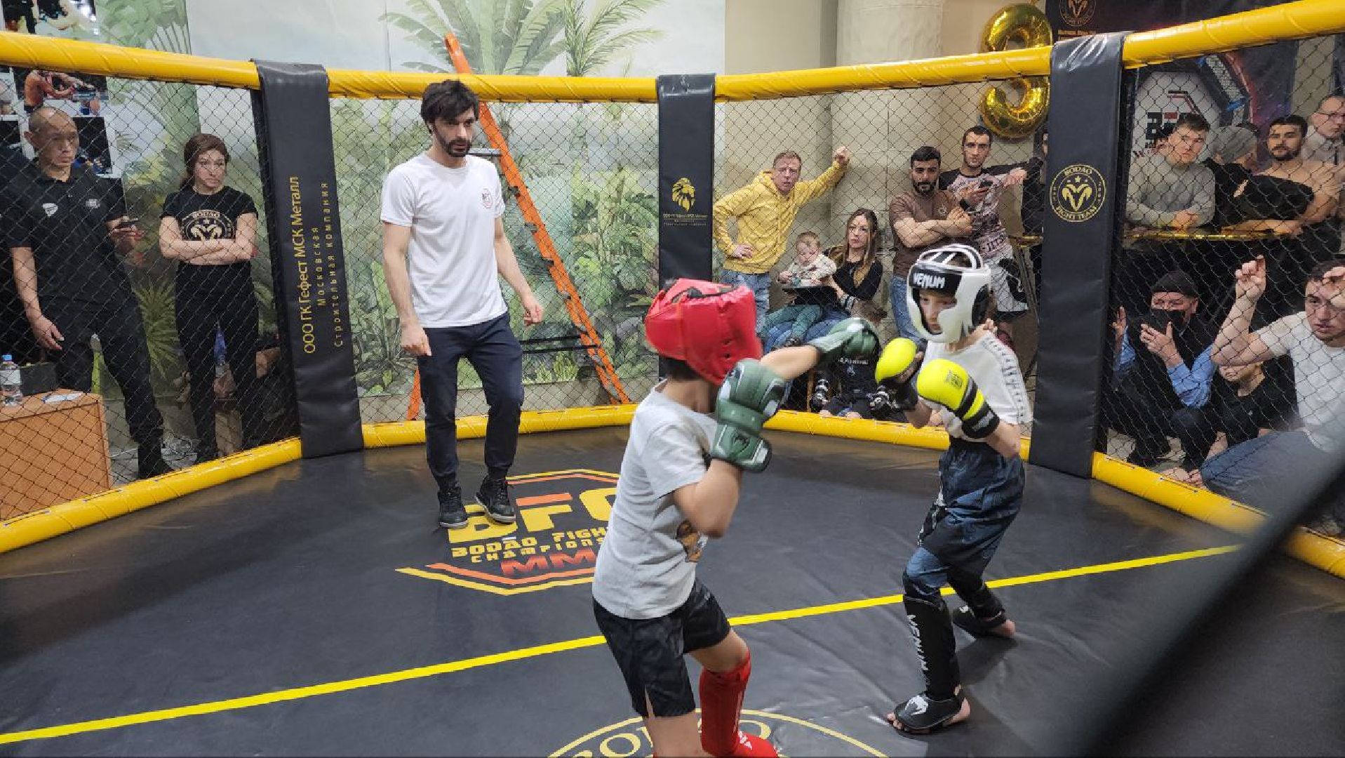 мытищи, спорт, Франсимар Баррозо, Смешанные единоборства, мма, детский спорт,