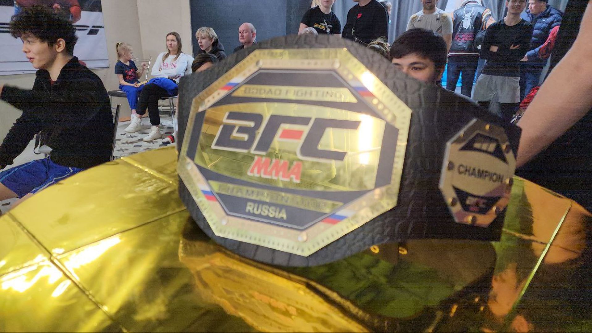 мытищи, спорт, Франсимар Баррозо, Смешанные единоборства, мма, детский спорт,