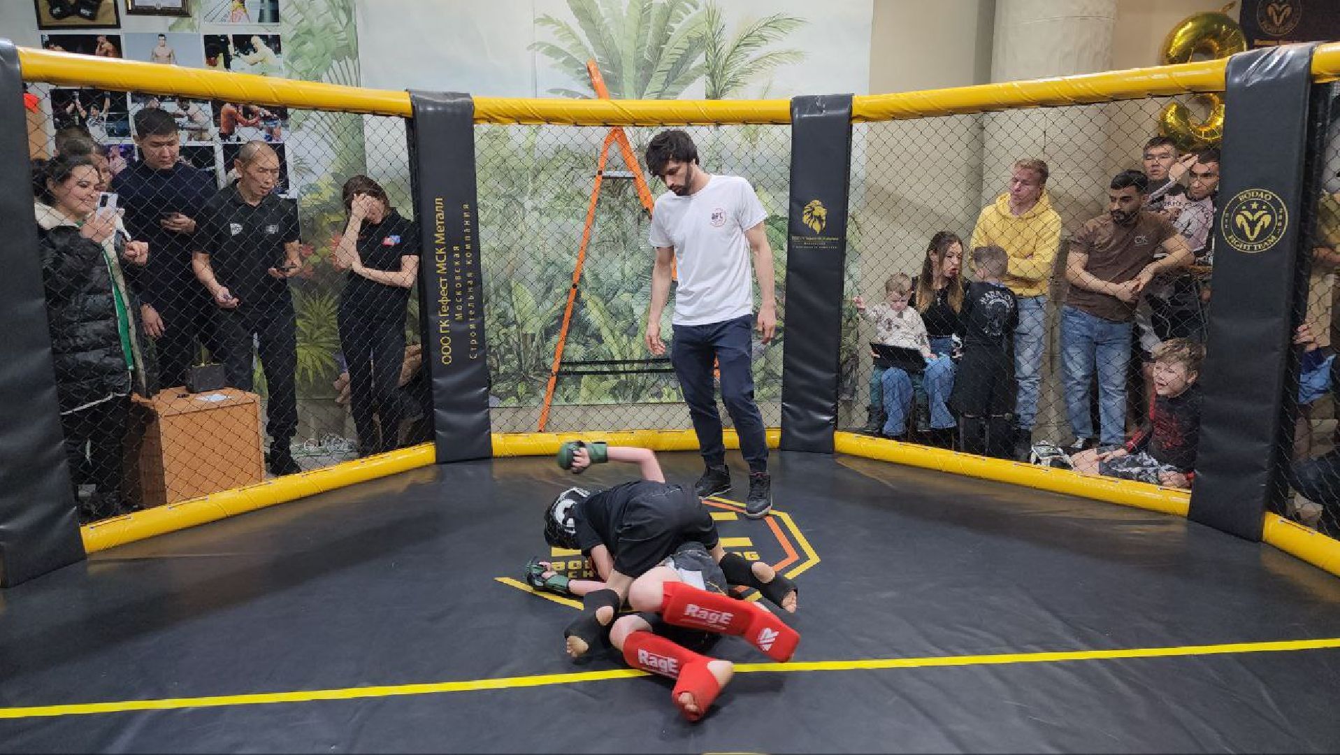 мытищи, спорт, Франсимар Баррозо, Смешанные единоборства, мма, детский спорт,