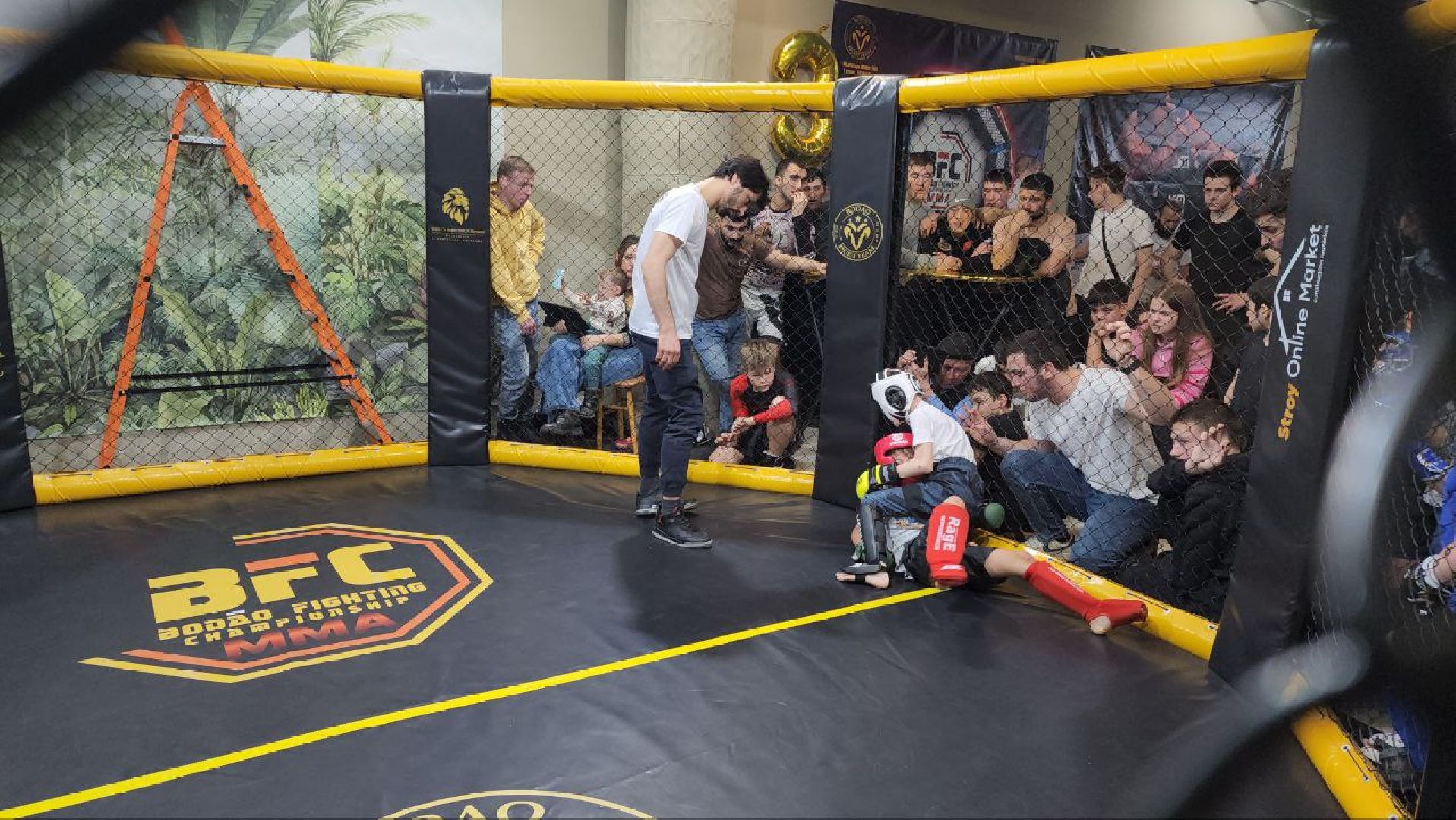 мытищи, спорт, Франсимар Баррозо, Смешанные единоборства, мма, детский спорт,