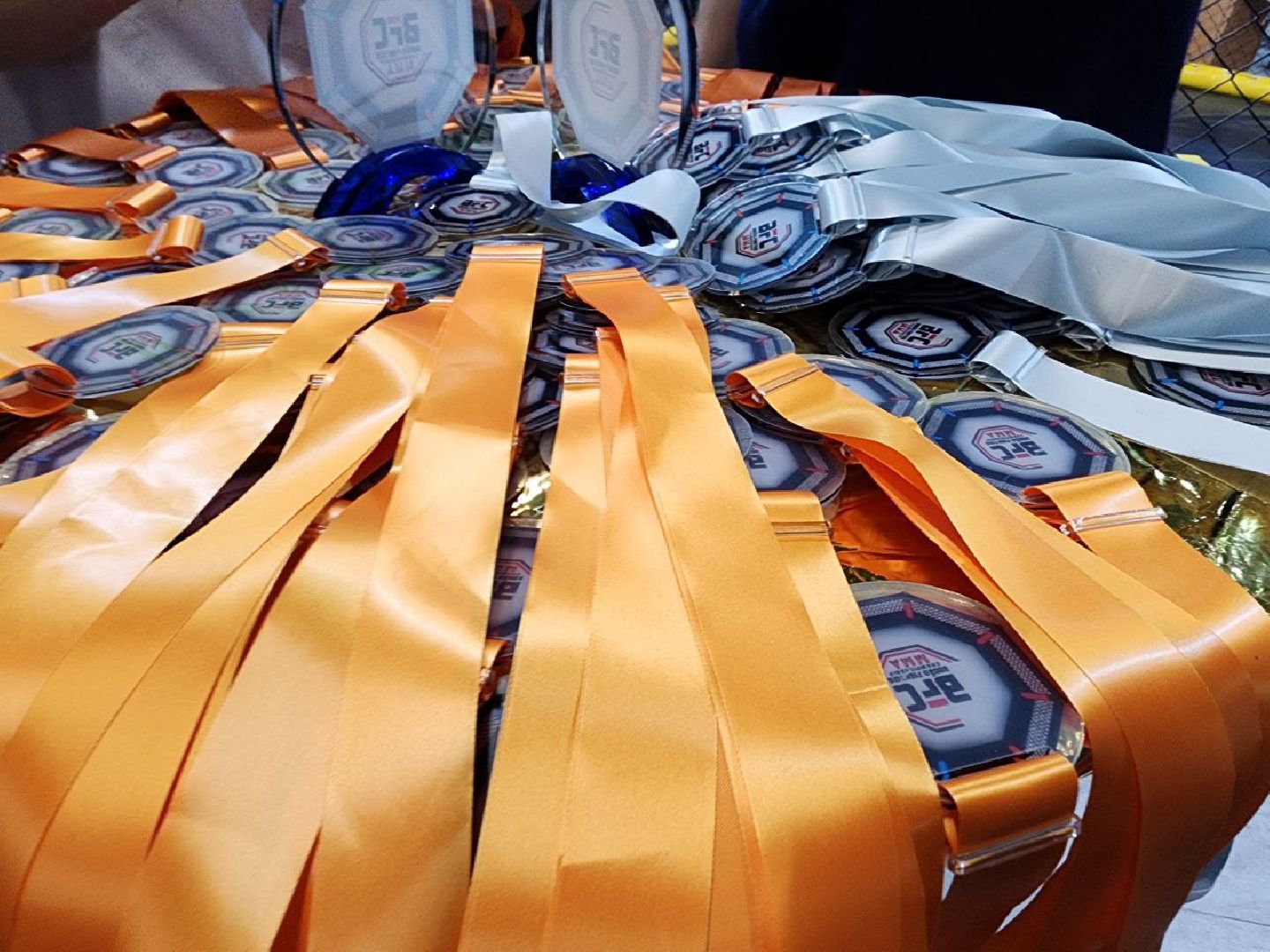 мытищи, спорт, Франсимар Баррозо, Смешанные единоборства, мма, детский спорт,