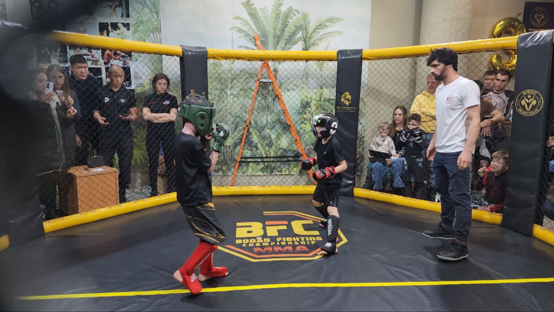 мытищи, спорт, Франсимар Баррозо, Смешанные единоборства, мма, детский спорт,