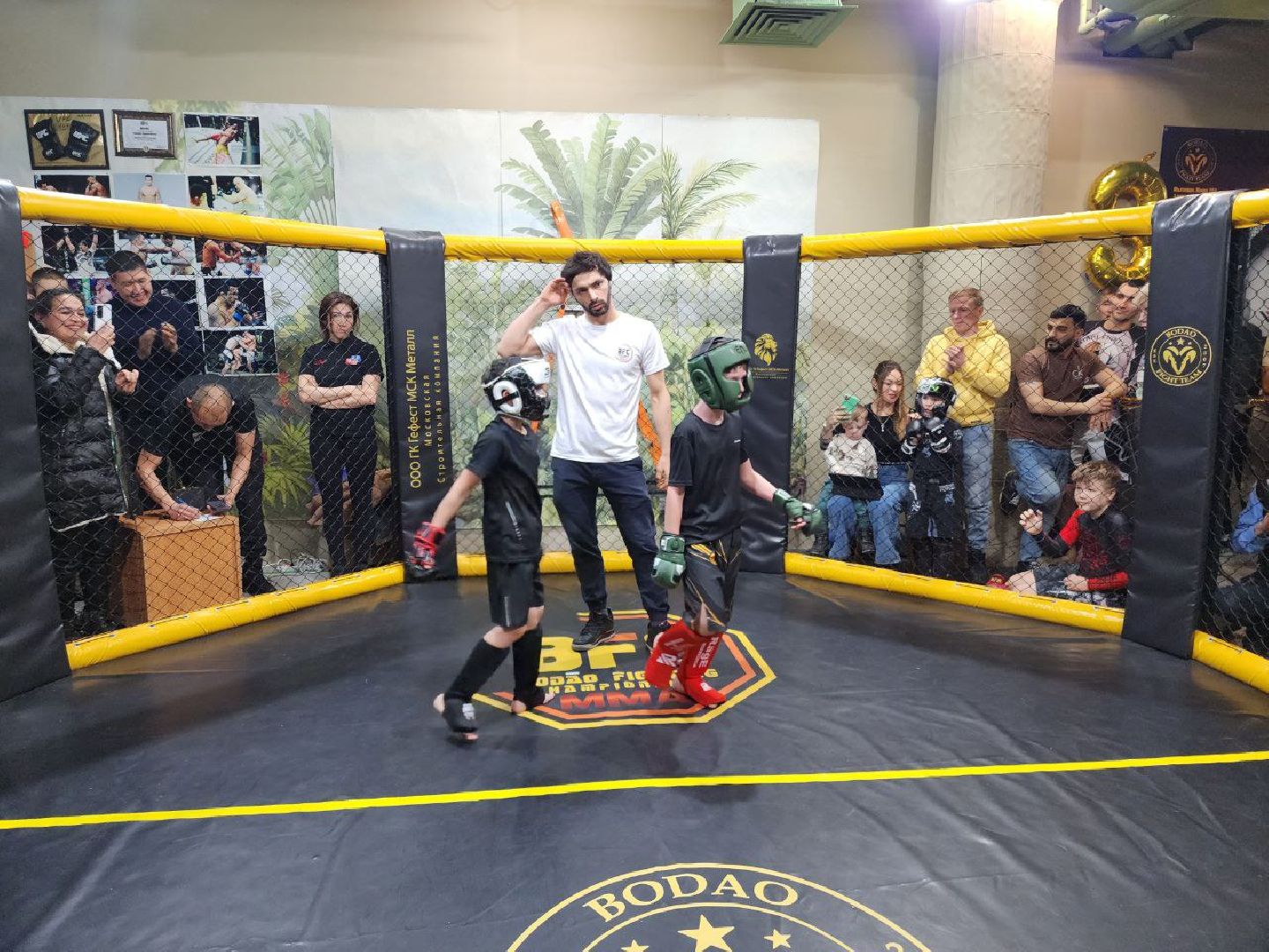 мытищи, спорт, Франсимар Баррозо, Смешанные единоборства, мма, детский спорт,