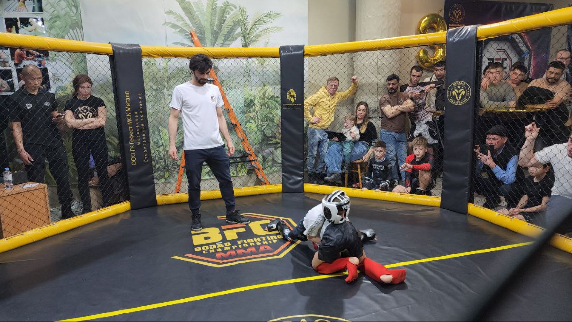 мытищи, спорт, Франсимар Баррозо, Смешанные единоборства, мма, детский спорт,