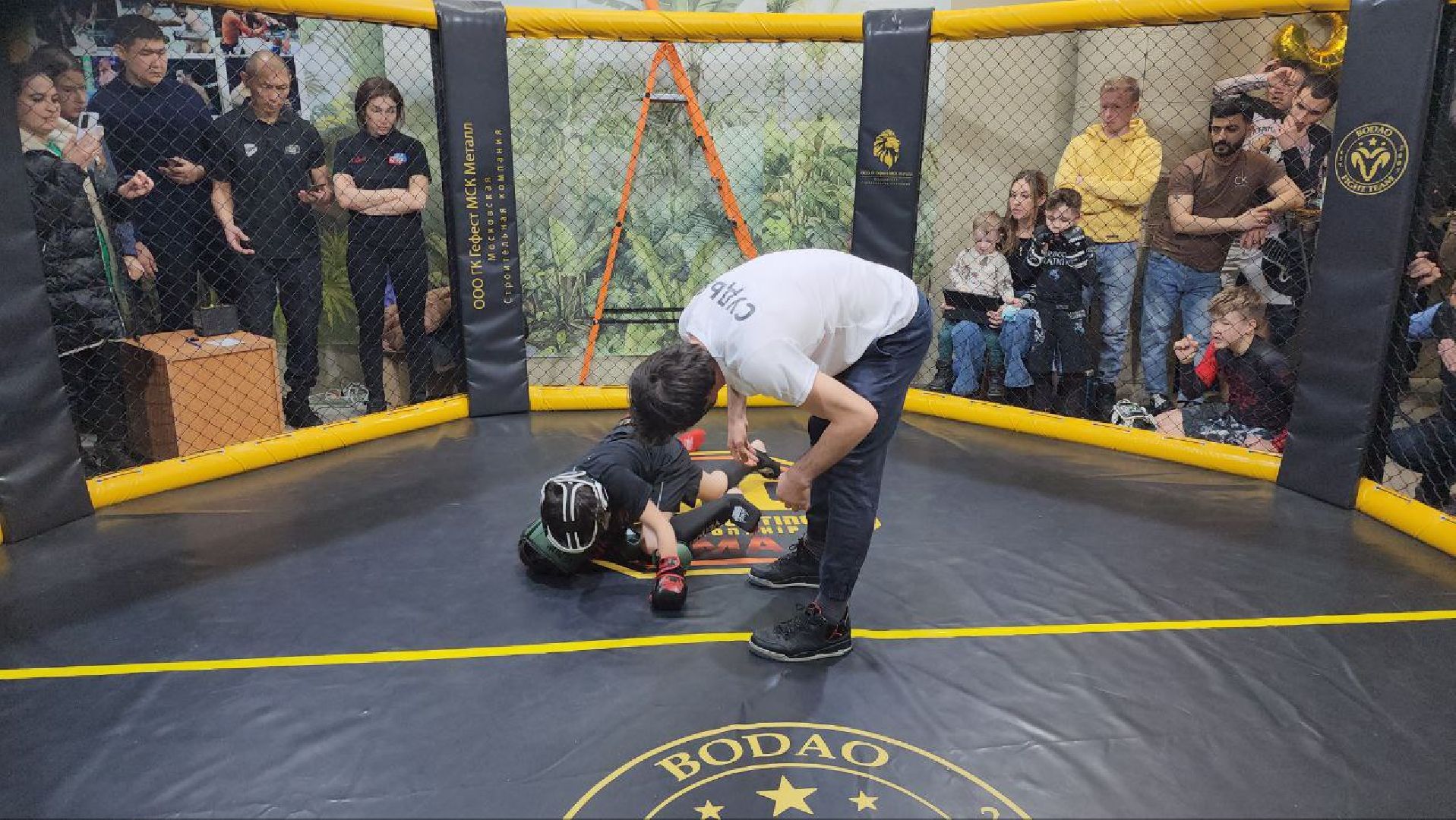 мытищи, спорт, Франсимар Баррозо, Смешанные единоборства, мма, детский спорт,