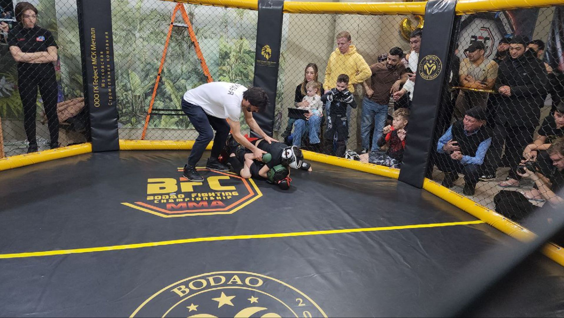 мытищи, спорт, Франсимар Баррозо, Смешанные единоборства, мма, детский спорт,