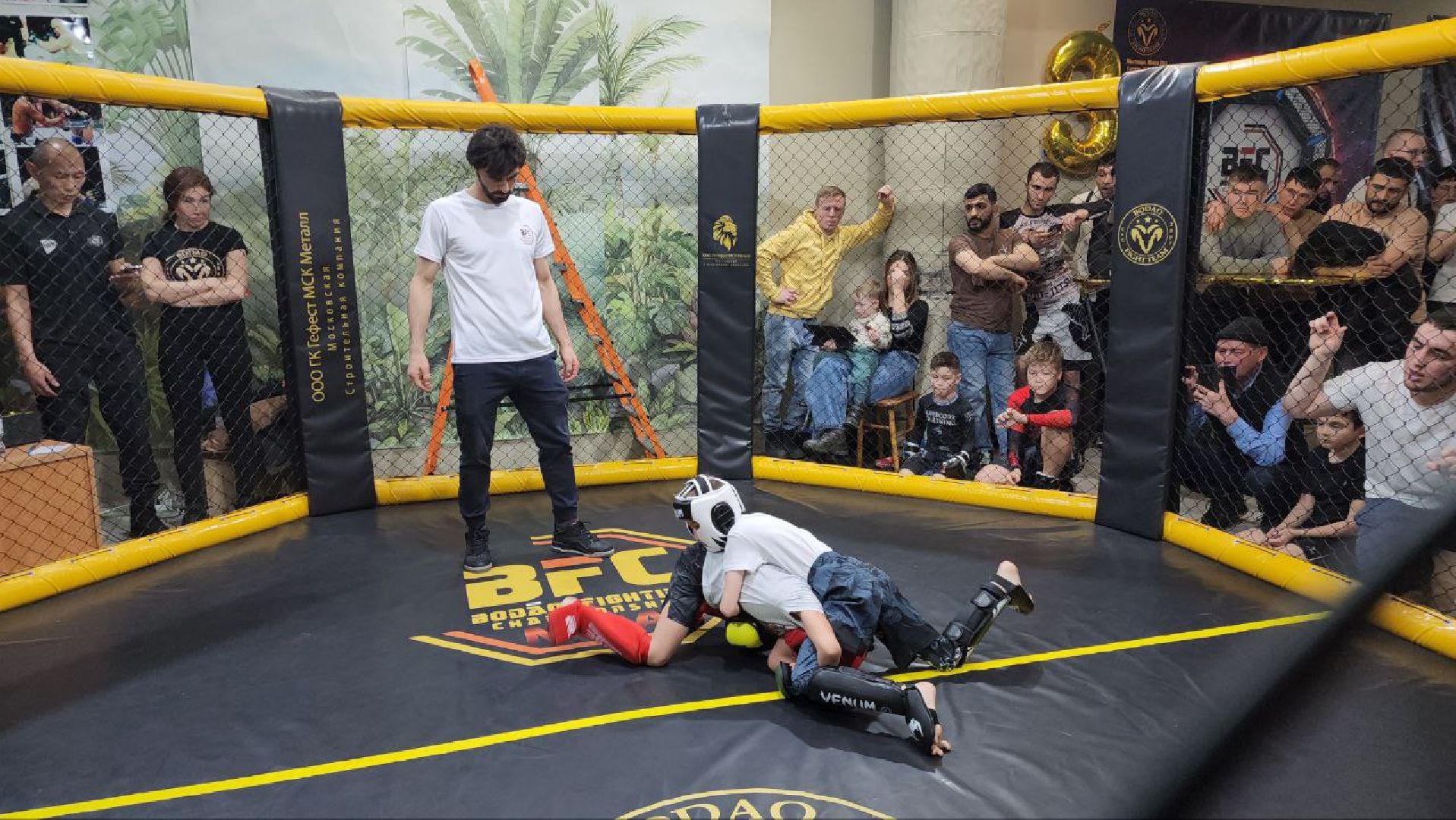 мытищи, спорт, Франсимар Баррозо, Смешанные единоборства, мма, детский спорт,