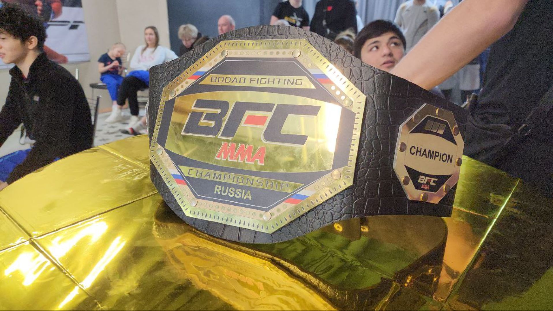 мытищи, спорт, Франсимар Баррозо, Смешанные единоборства, мма, детский спорт,