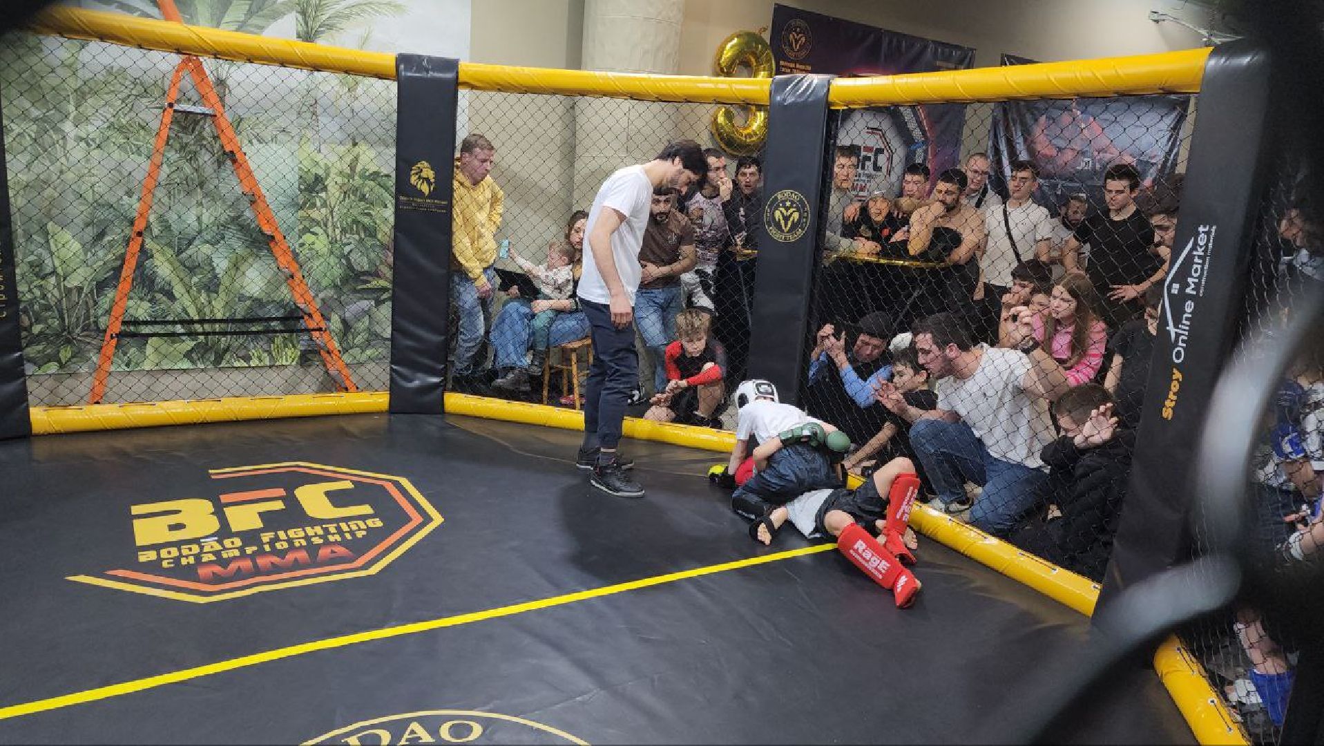 мытищи, спорт, Франсимар Баррозо, Смешанные единоборства, мма, детский спорт,