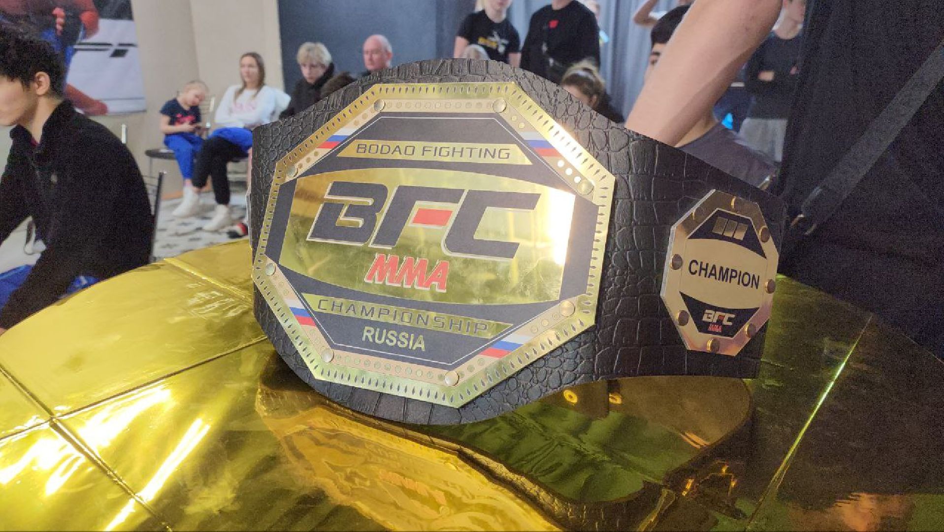 мытищи, спорт, Франсимар Баррозо, Смешанные единоборства, мма, детский спорт,