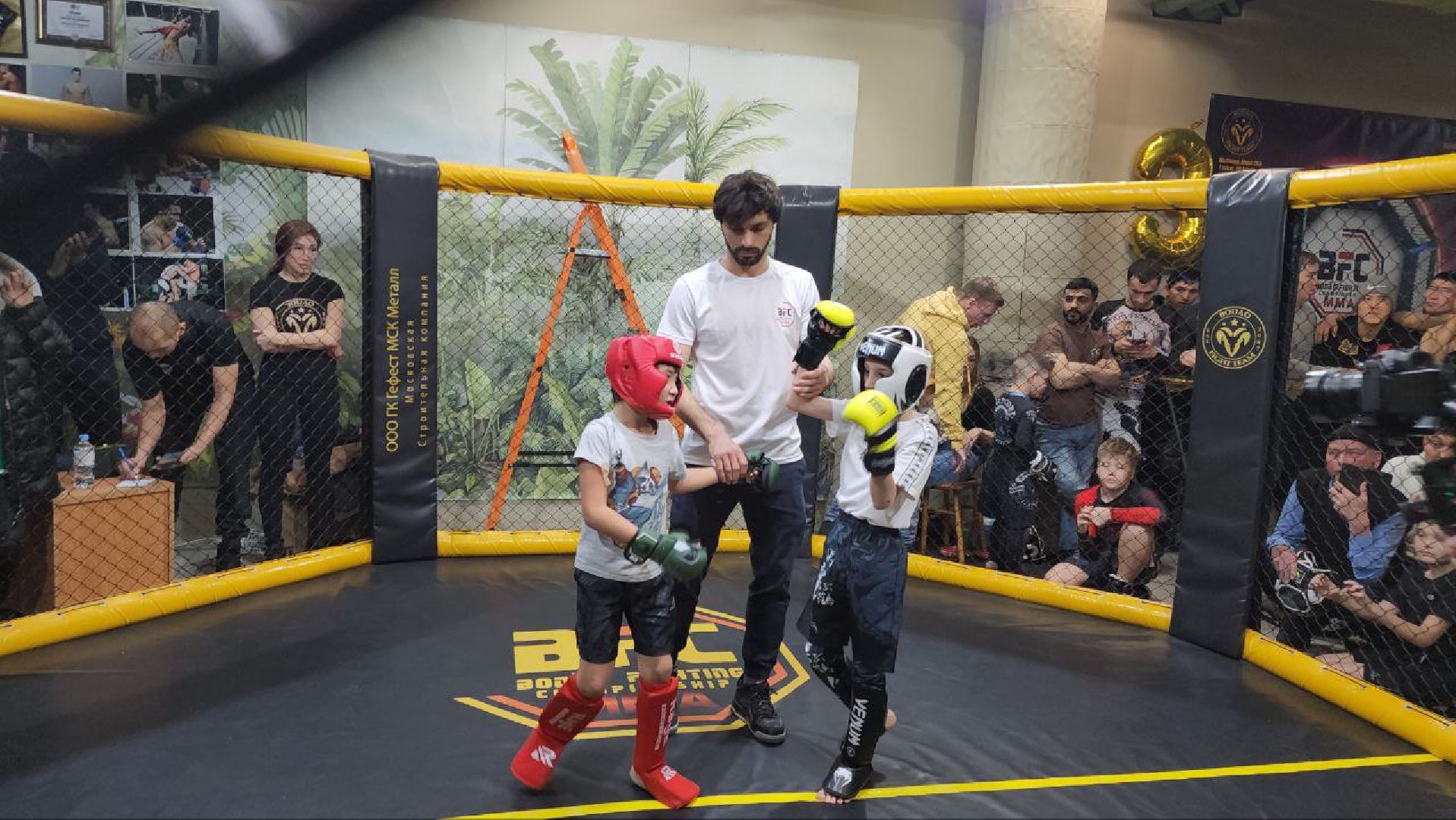 мытищи, спорт, Франсимар Баррозо, Смешанные единоборства, мма, детский спорт,