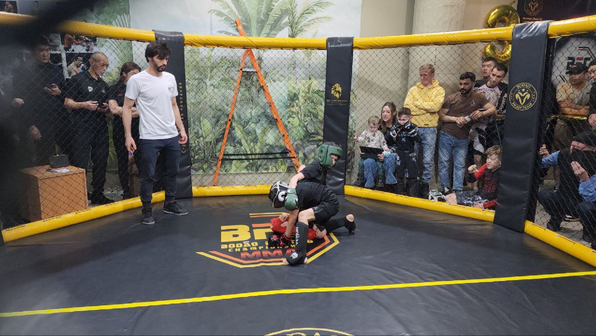 мытищи, спорт, Франсимар Баррозо, Смешанные единоборства, мма, детский спорт,