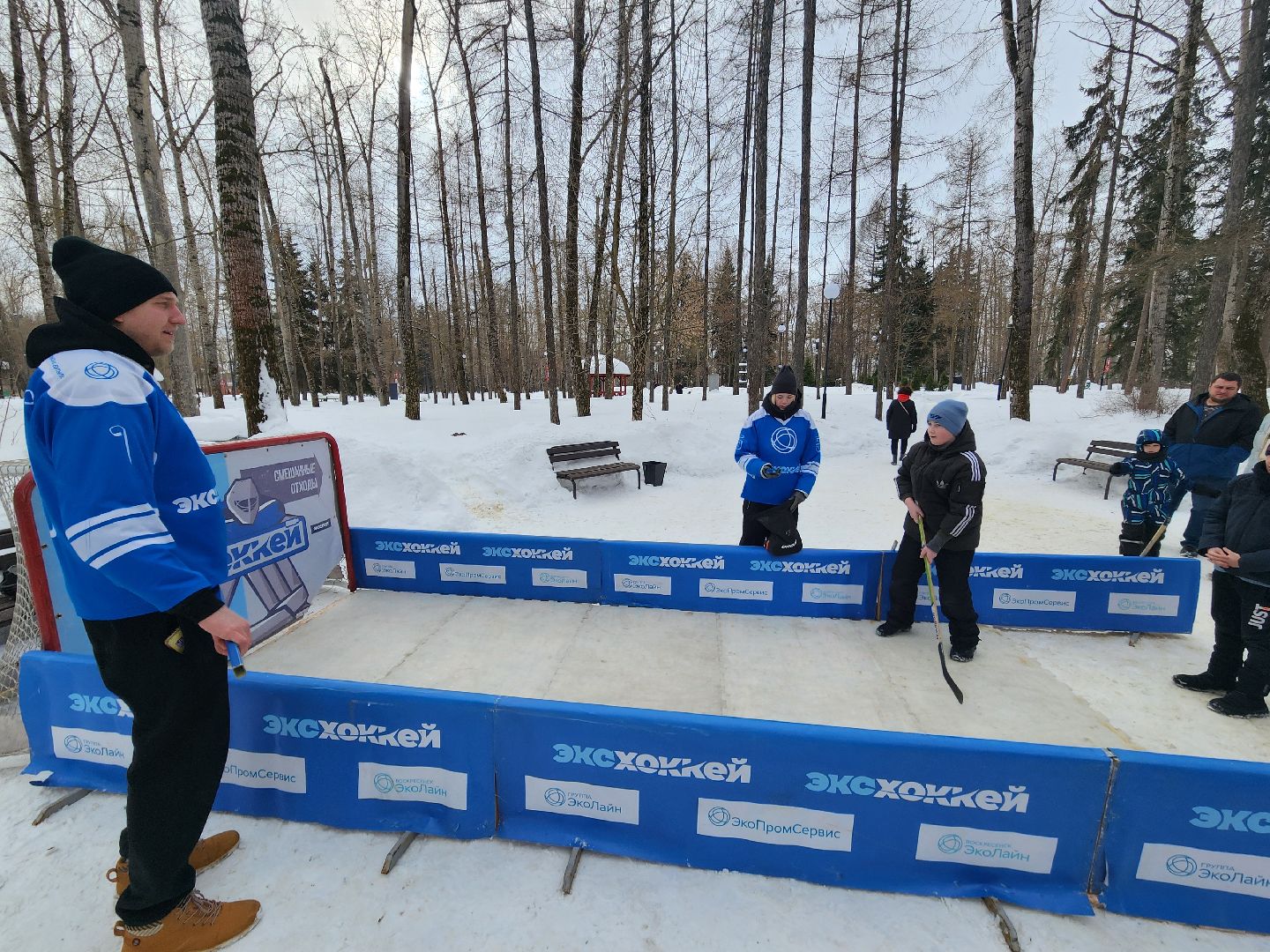 воскресенск, эко-хоккей, парк, спорт,