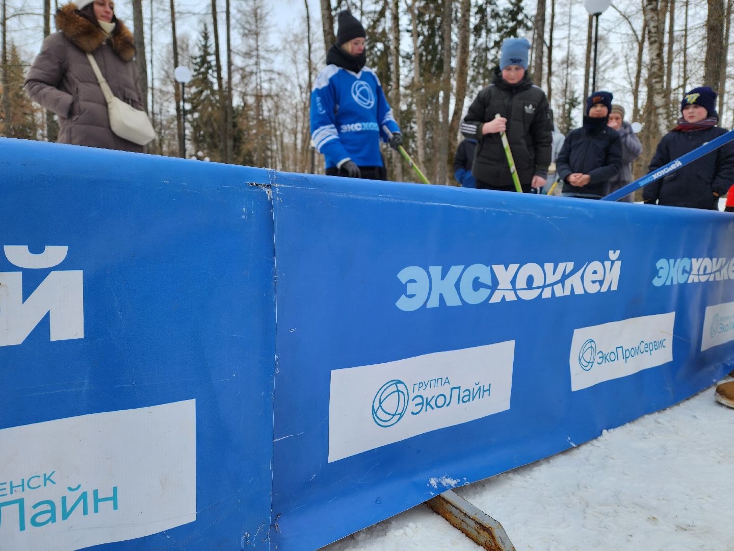 воскресенск, эко-хоккей, парк, спорт,