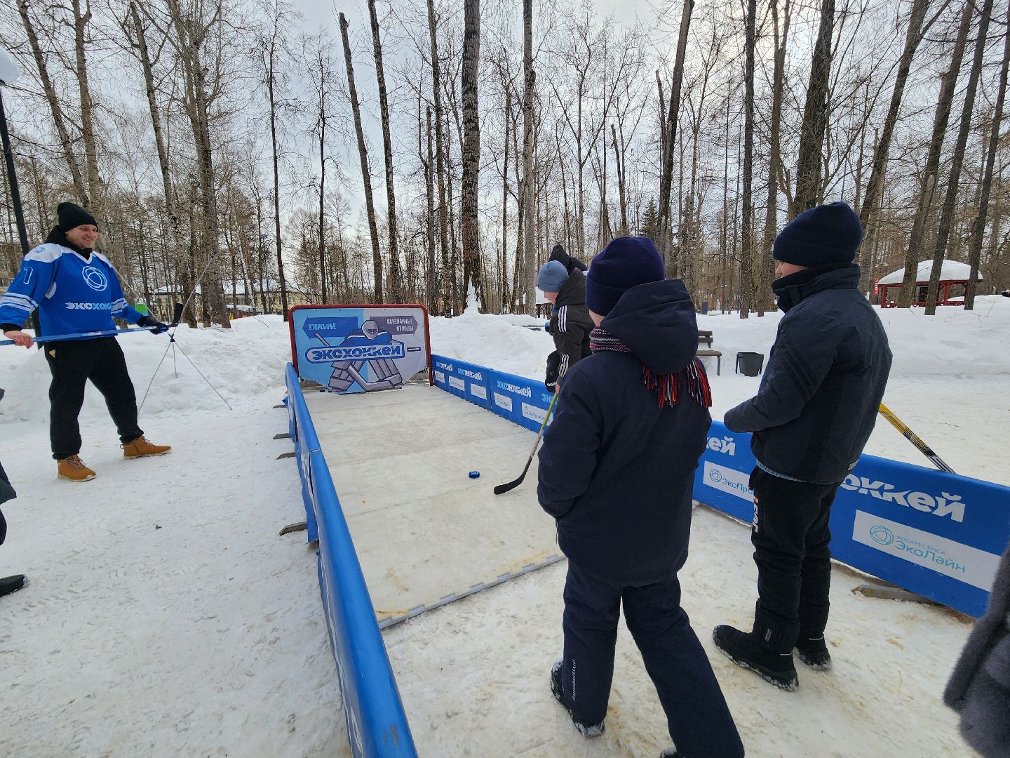 воскресенск, эко-хоккей, парк, спорт,