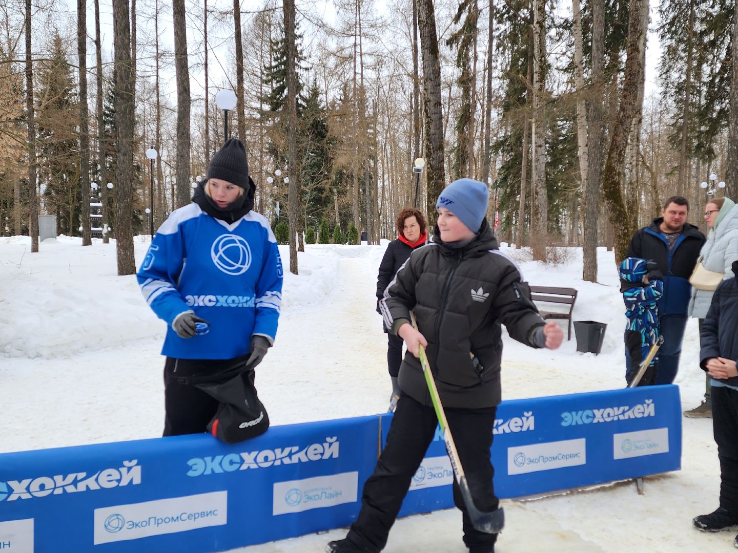 воскресенск, эко-хоккей, парк, спорт,
