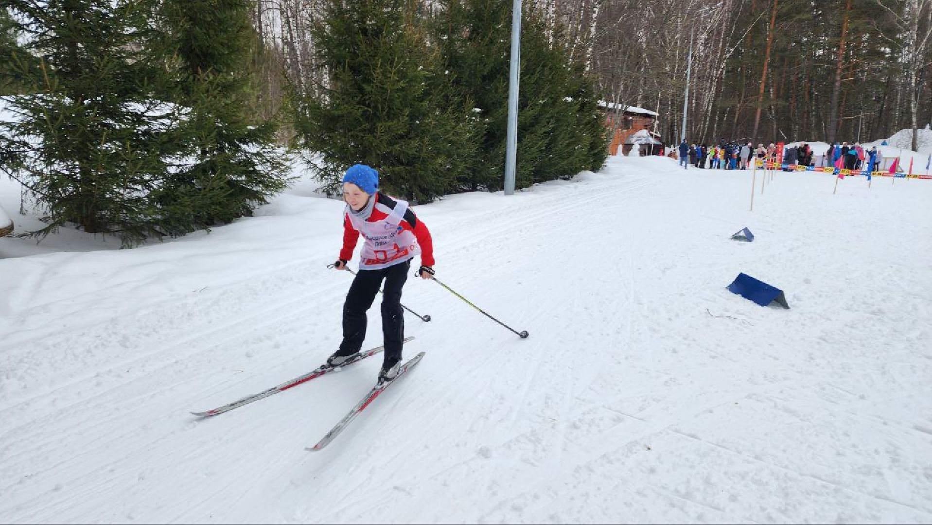 пущино, спорт,