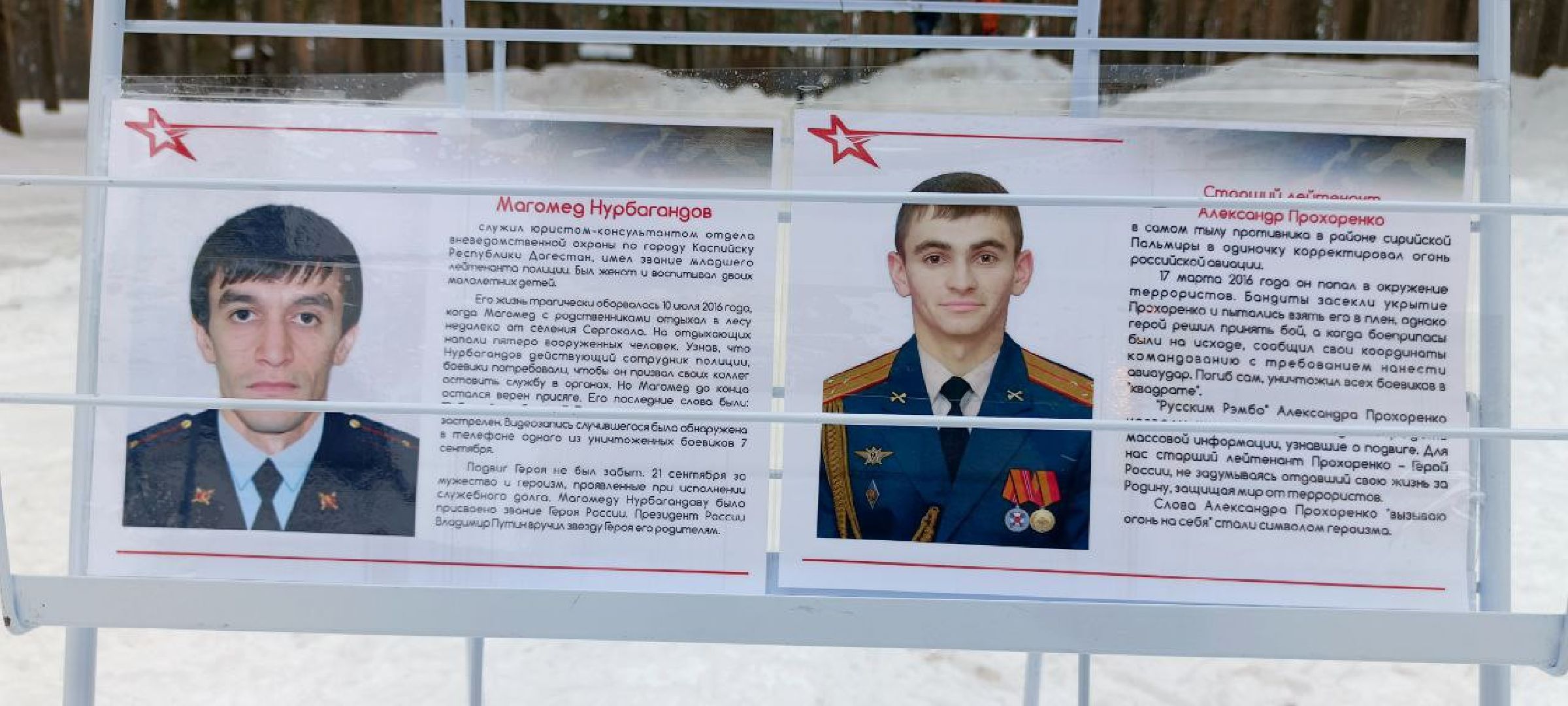 Дмитров, Парк Сосновый бор, Юнармия,