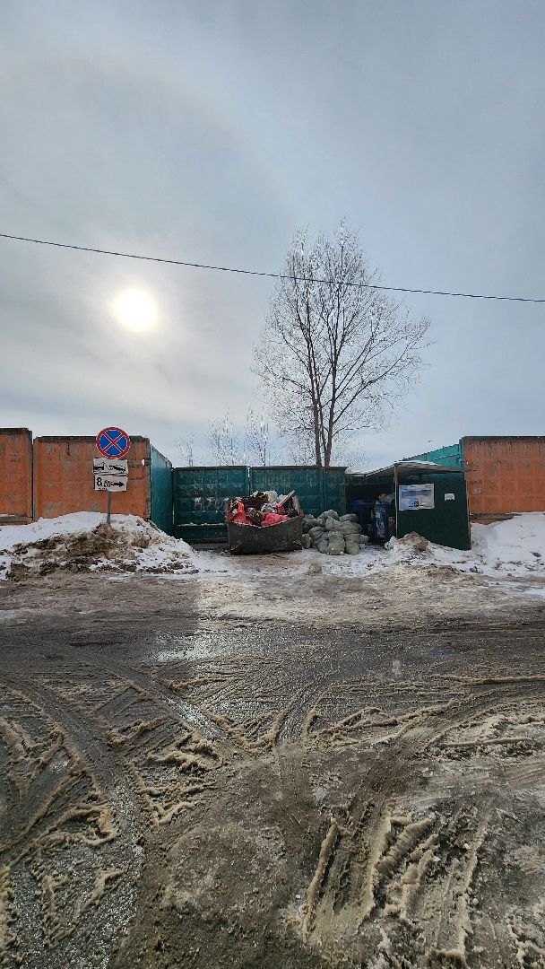 Одинцово, ВНИИССОК, подд, контейнер, тко, густ,