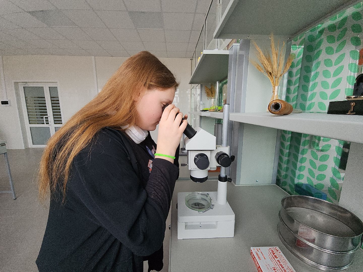 коломна, коломенская ягода, агроколледж, профессионалитет,