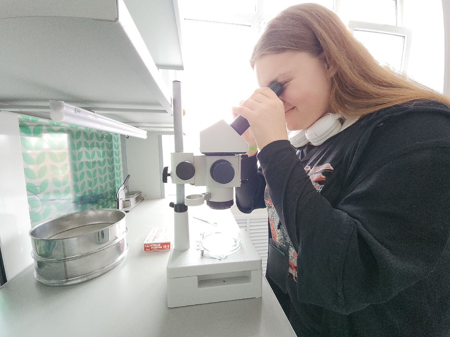 коломна, коломенская ягода, агроколледж, профессионалитет,