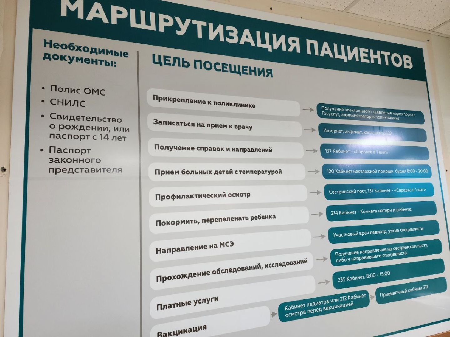 Солнечногорск, Диспансеризация, Медицина, Ученики, Врачи,