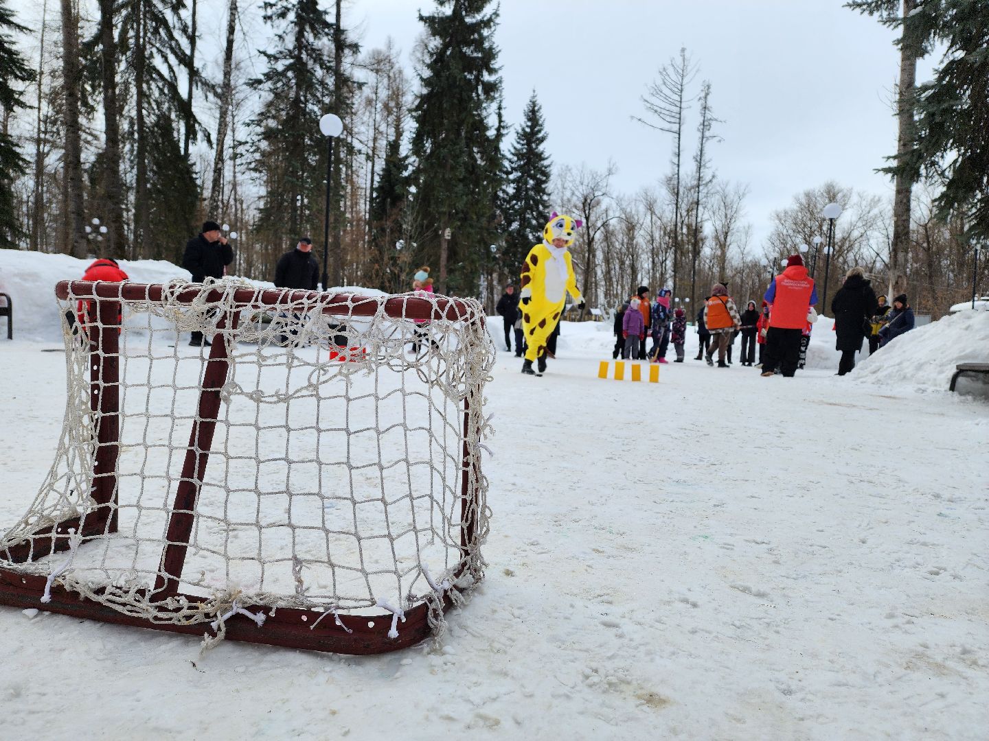 воскресенск, хоккей, праздник, дети, семья,