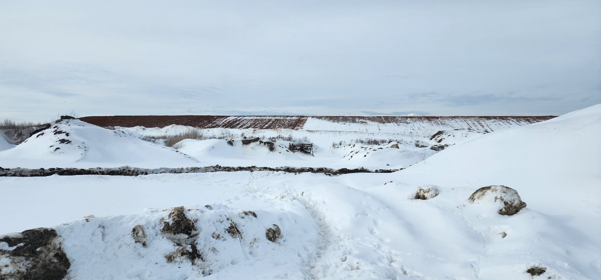 раменское, экология, рекультивация полигона ТБО Сафоново,