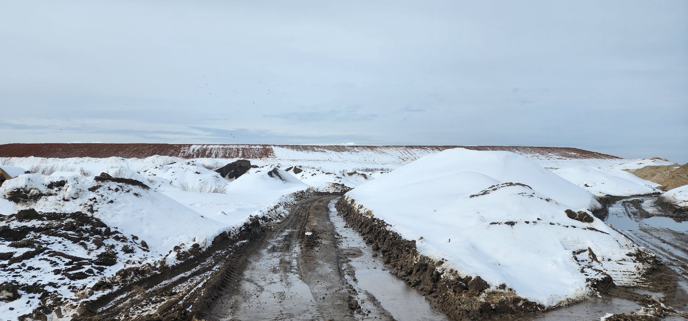 раменское, экология, рекультивация полигона ТБО Сафоново,