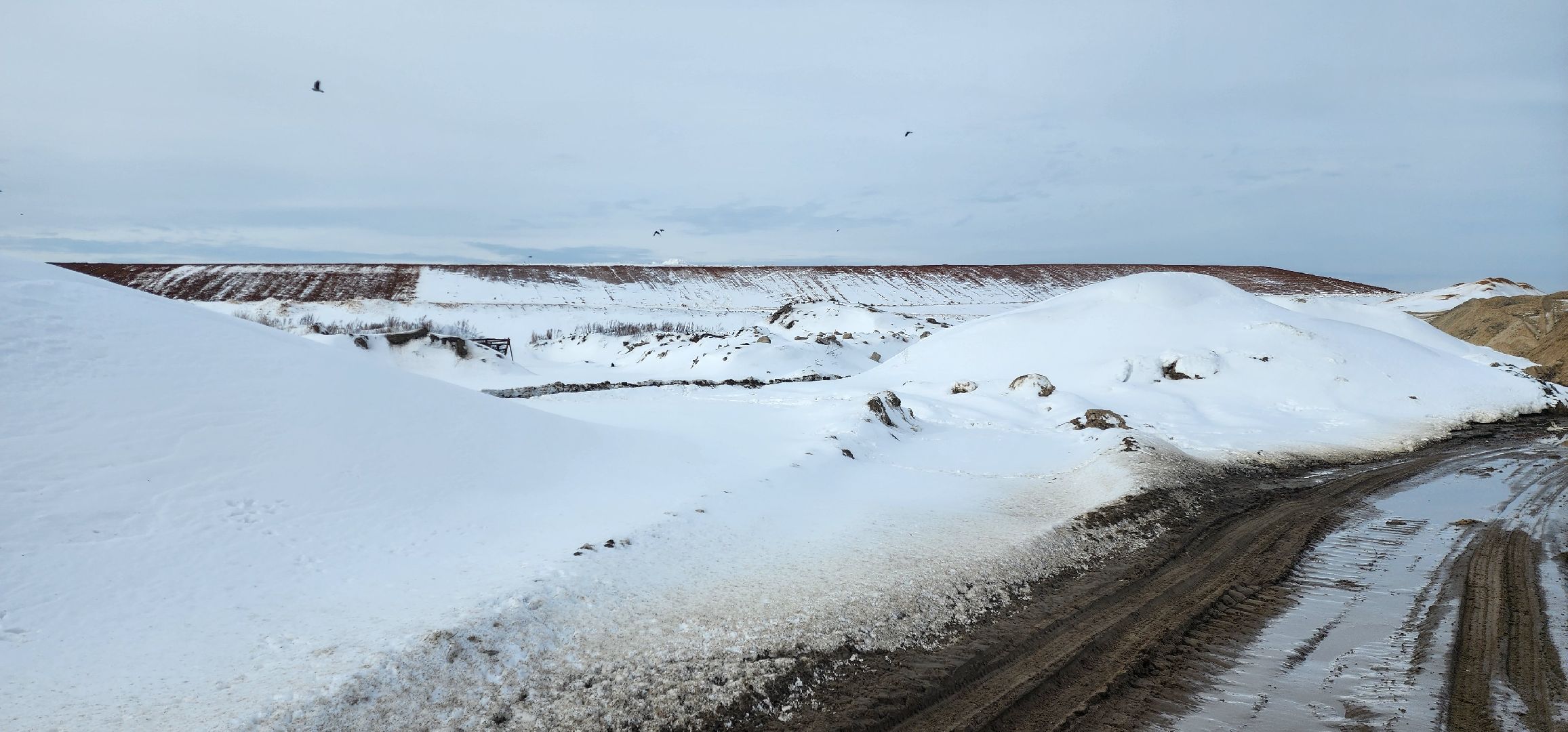 раменское, экология, рекультивация полигона ТБО Сафоново,