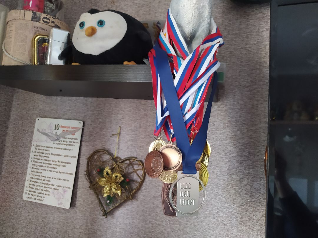 Многодетная семья, дети, Щёлково