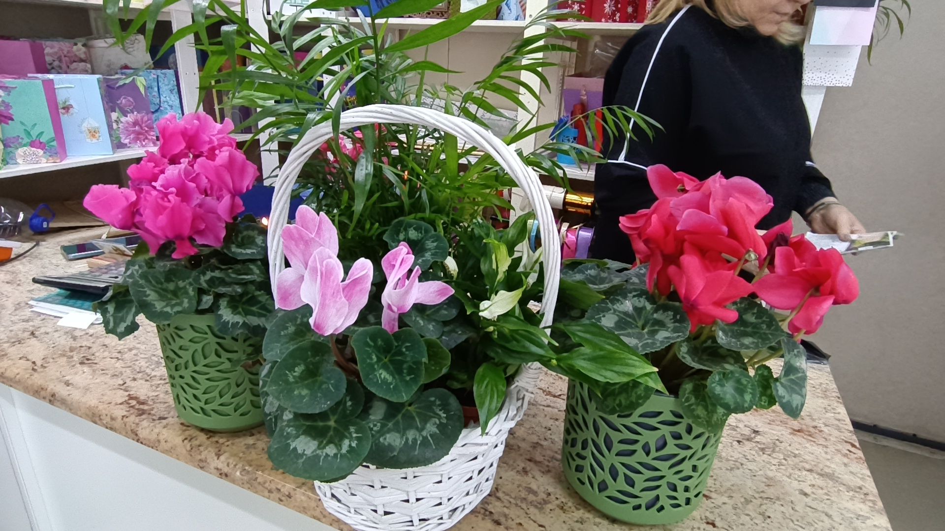 цветы, лобня, тюльпаны,