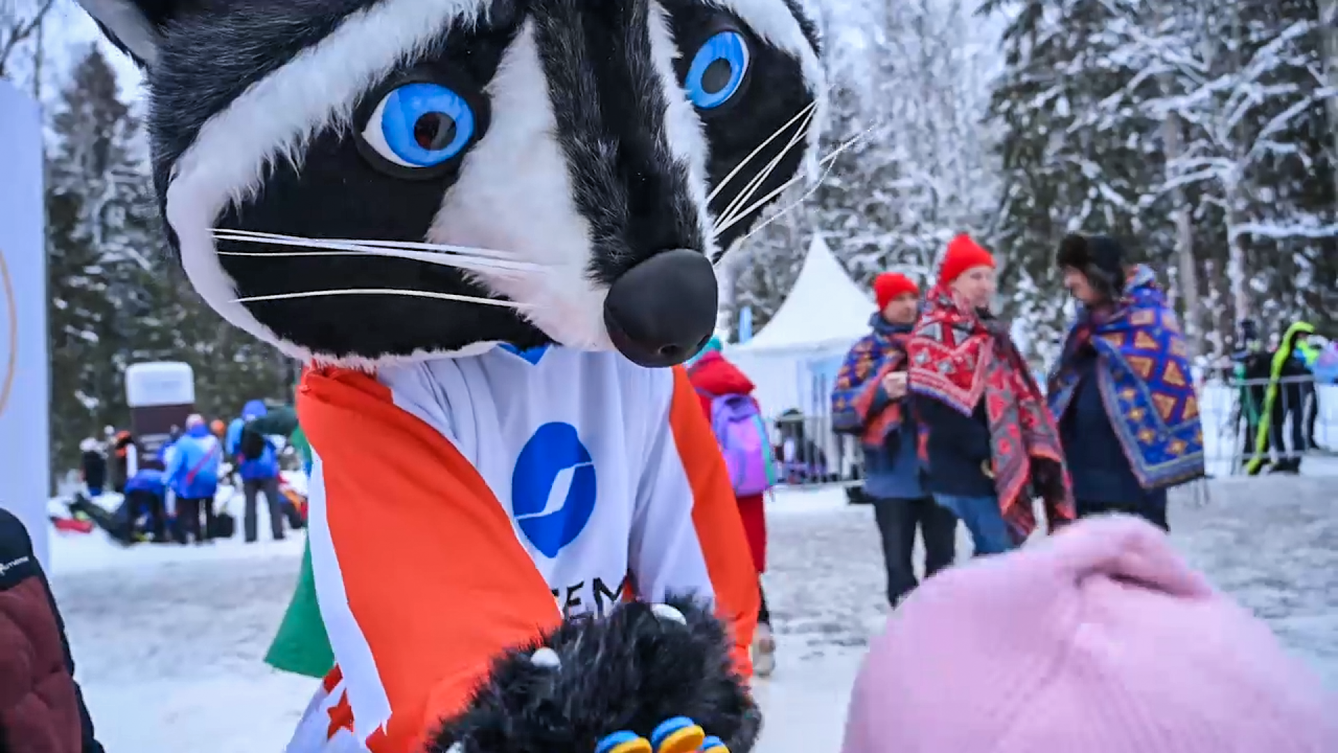 Клин, общество, спорт, зима, активный отдых,