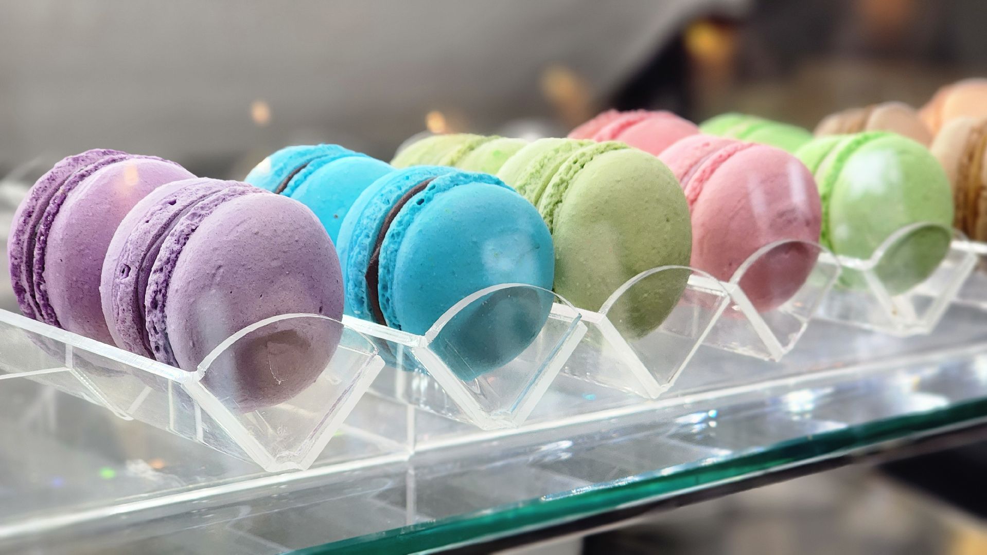 протвино, общепит, где поесть, кафе, где пообедать,