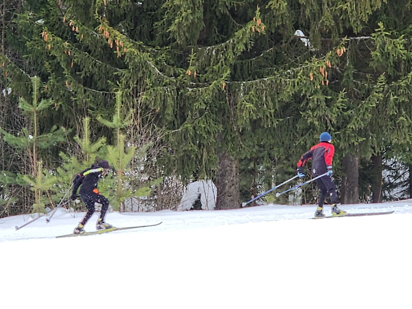 красноармейск, г.о. пушкинский, Старт Легкова, лыжники,