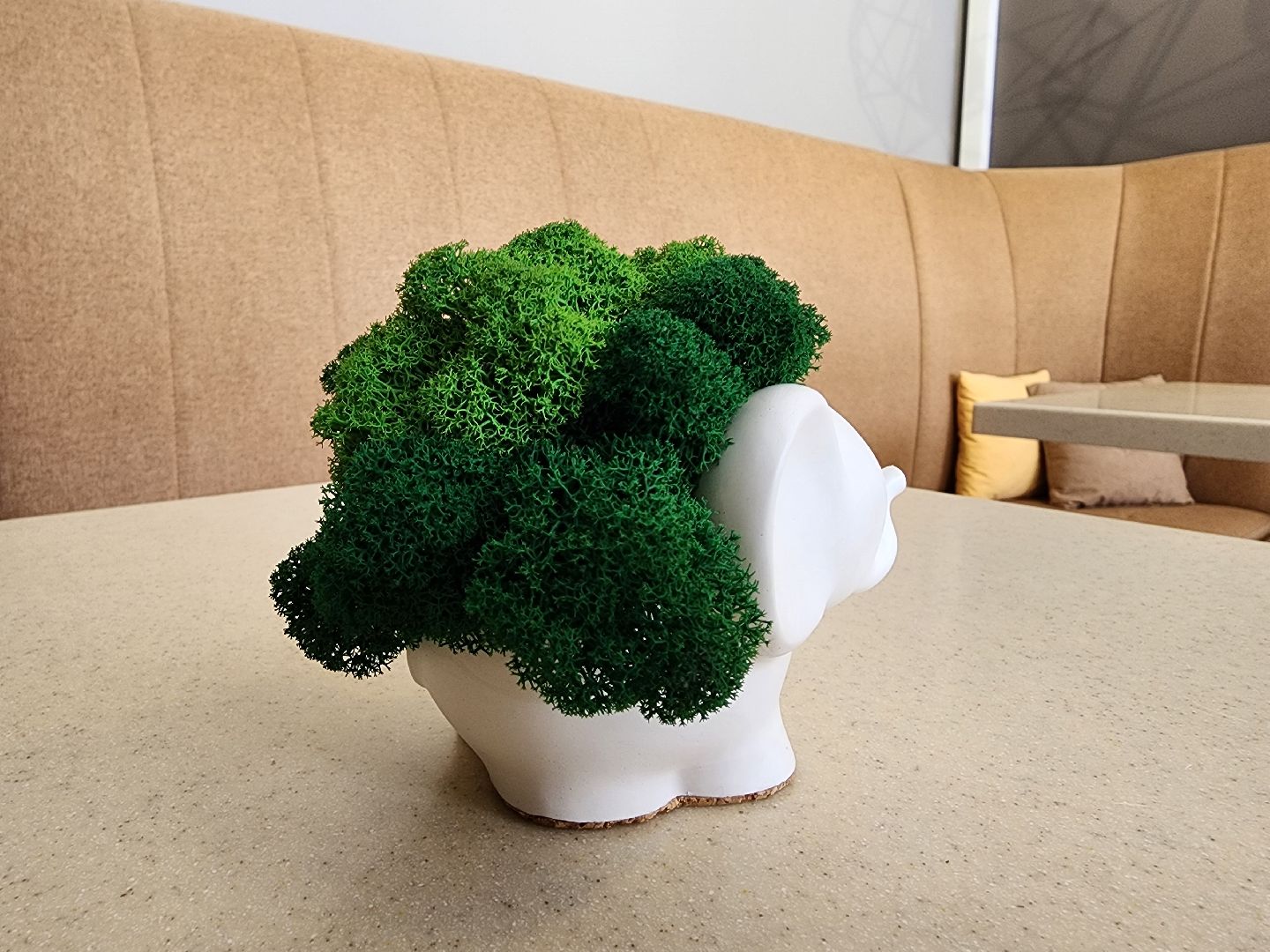 кафе, кофейня, Старая Купавна, Богородский городской округ,