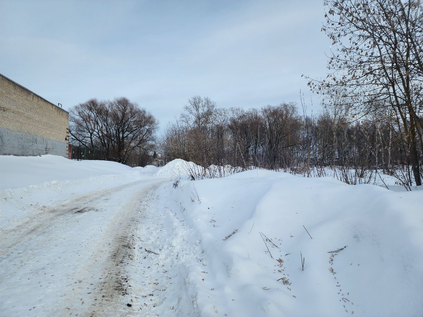 Павловский Посад, Городской округ Павловский Посад, Люди, Благоустройство, зелный узел, Парк,