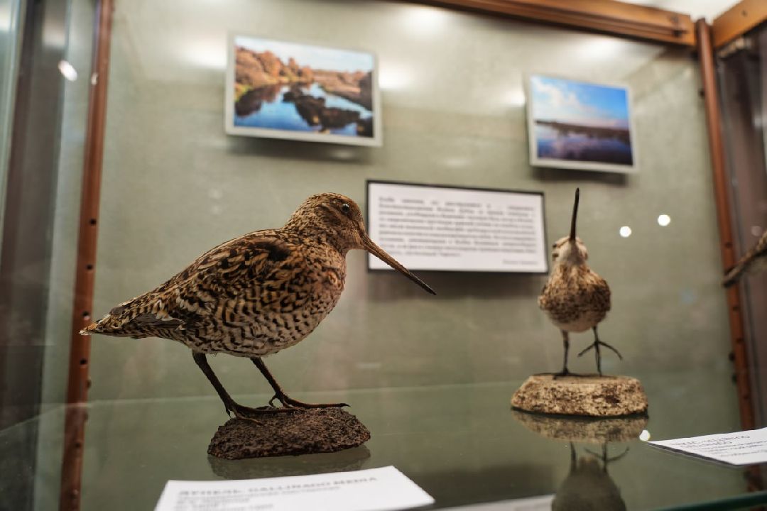 Сергиев Посад