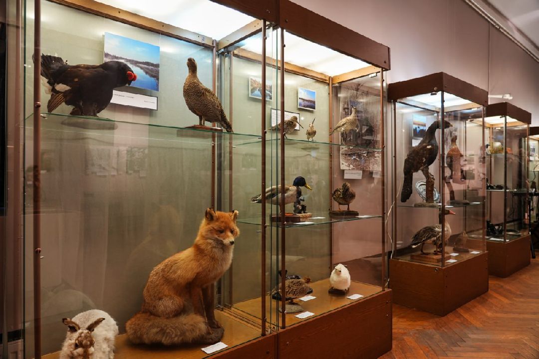 Сергиев Посад