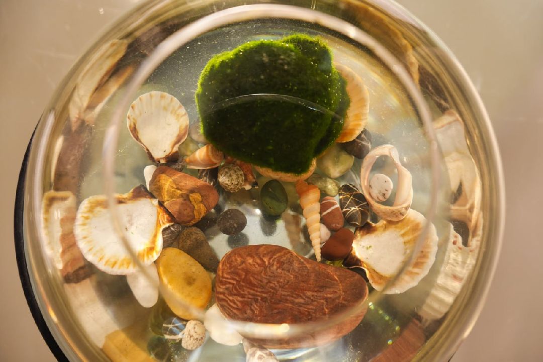 Сергиев Посад