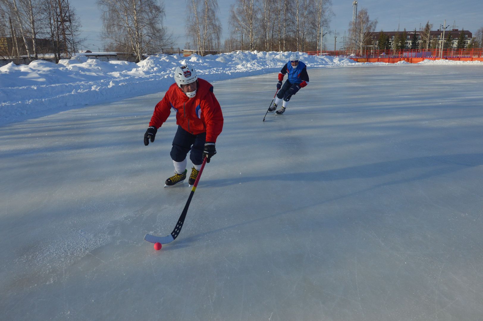 шатура, хоккей с мячом, энергия, энергия жизни, тренировка,
