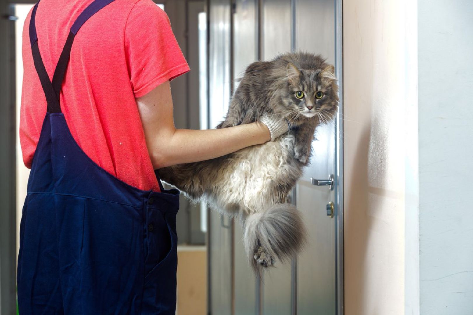 Люберцы, Люберецкая станция по борьбе с болезнями животных, профилактика,