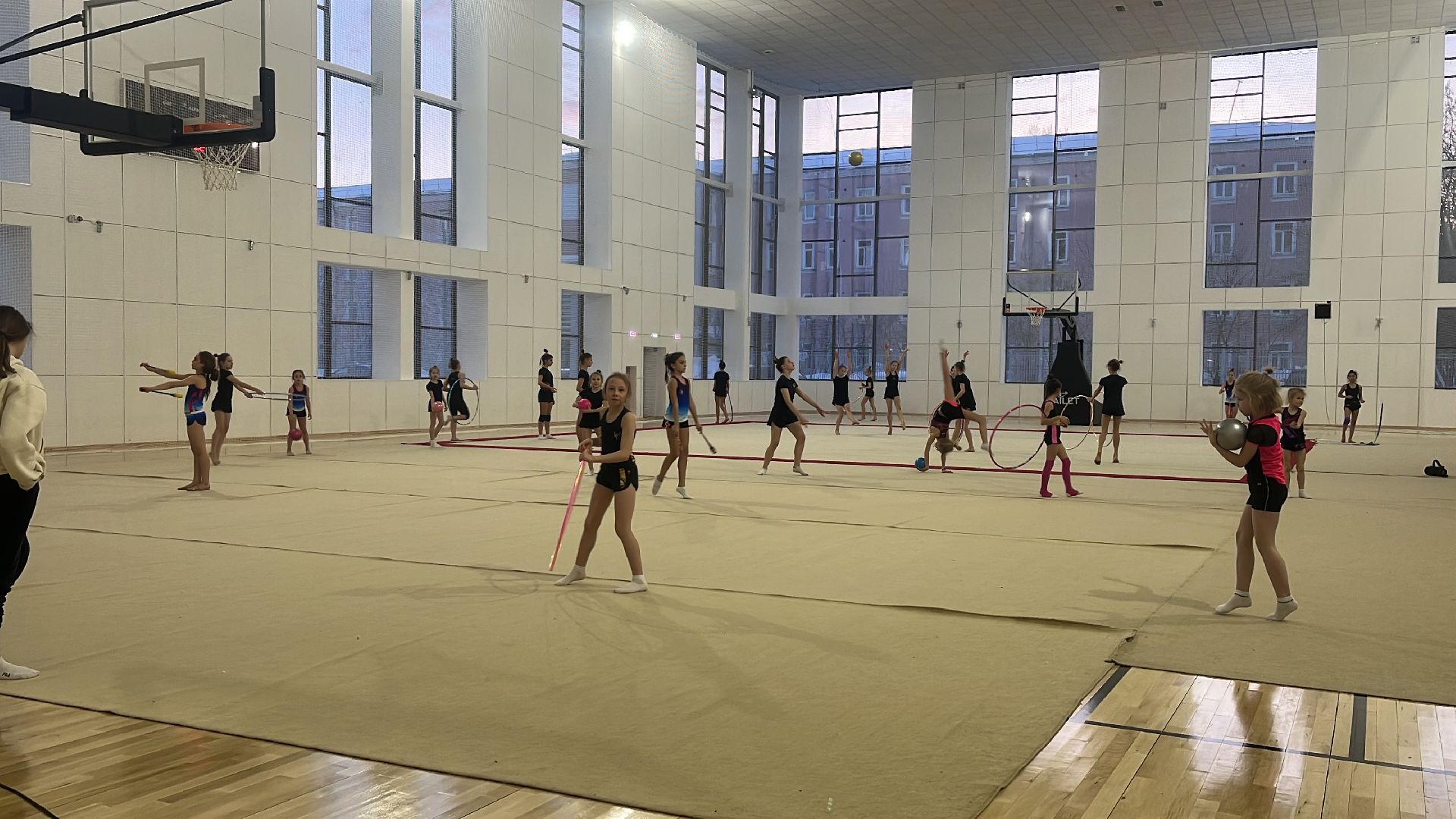 художественная гимнастика, школа олимпийского резерва, стадион труд, балашиха,