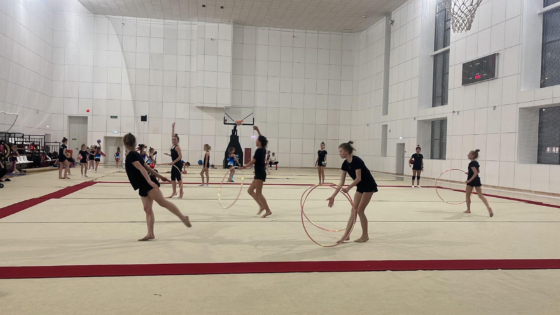 художественная гимнастика, школа олимпийского резерва, стадион труд, балашиха,