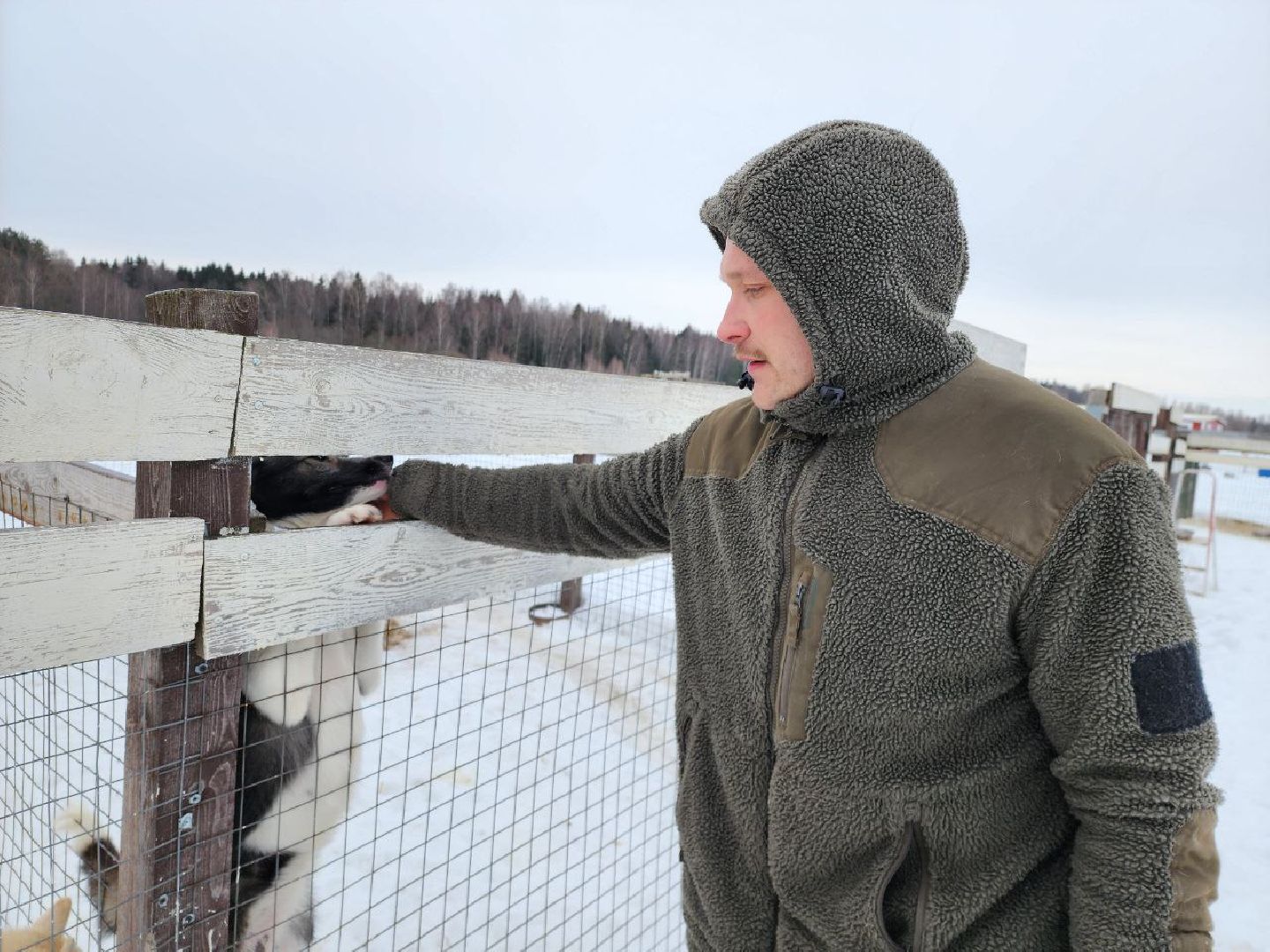 можайск, можайский городской округ, подмосковье, гонки, собаки, соревнования, гонки на собачьих упряжках, спорт,