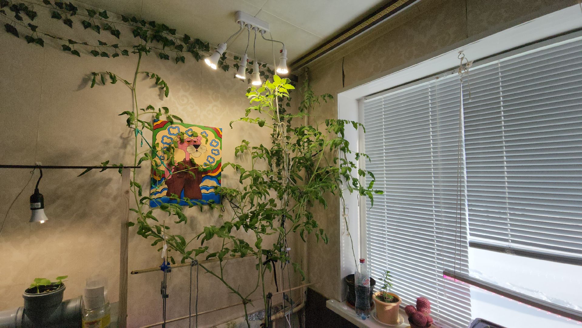 Ступино, Школа Малино Ступино, Малино поселок,