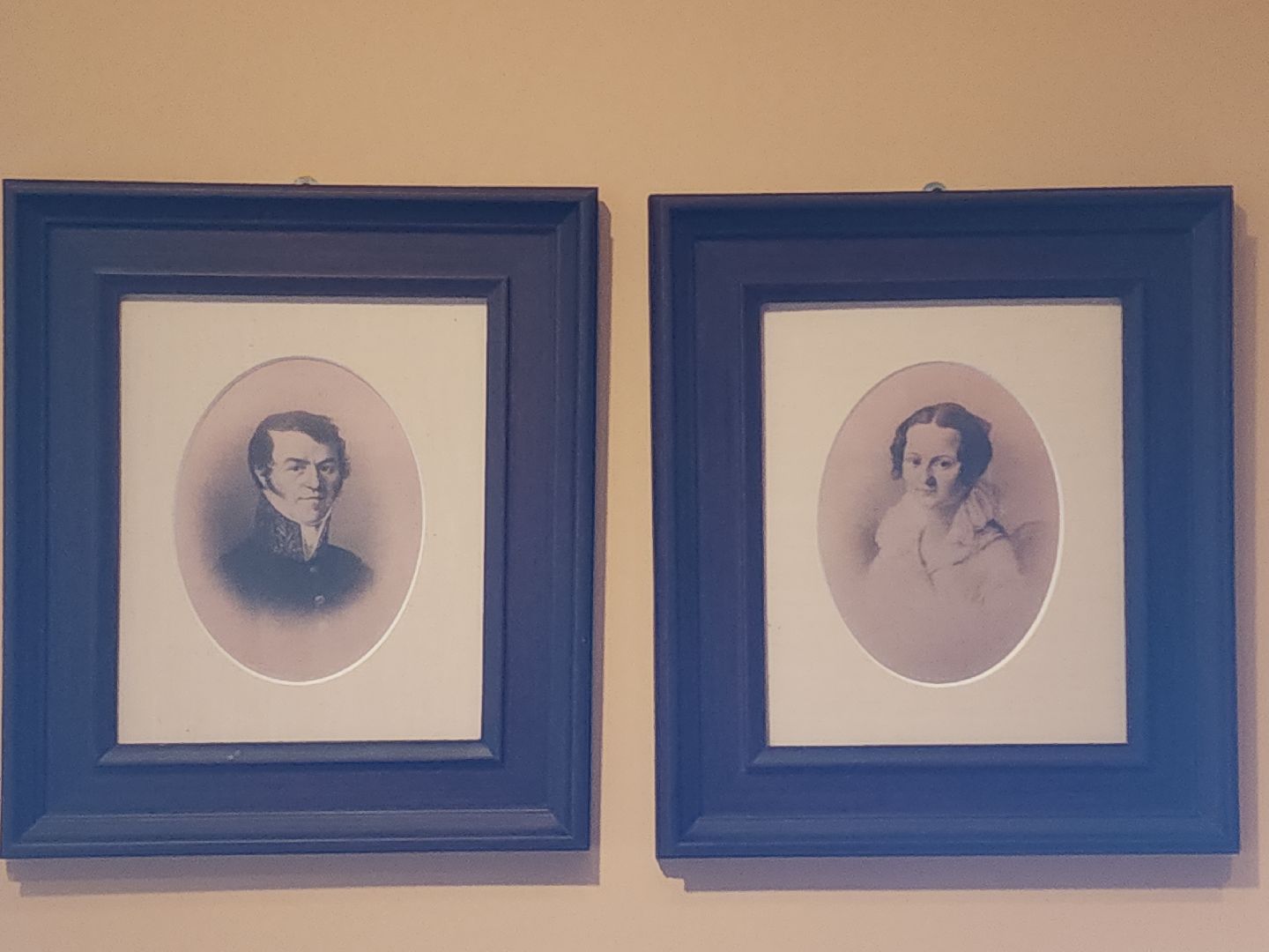 зарайск, культура, даровое,