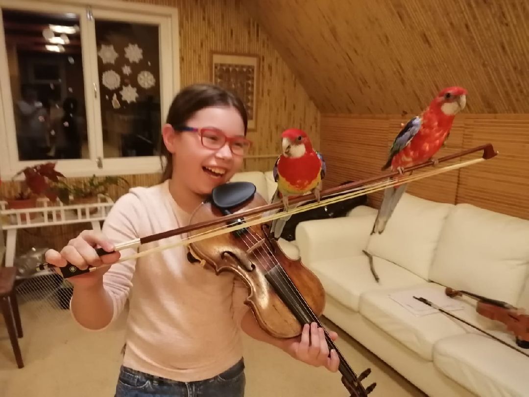 Пушкино, культура